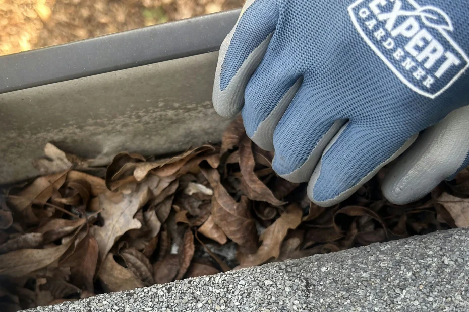 Gutter Cleaning Prairie Village, KS